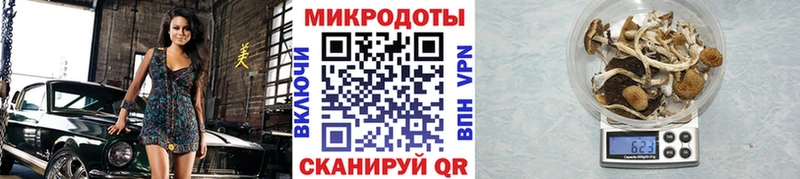 купить наркоту  Аркадак  это Telegram  Псилоцибиновые грибы Psilocybine cubensis  KRAKEN  